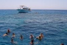 Ras Mohammed National Park Day Trip by Boat